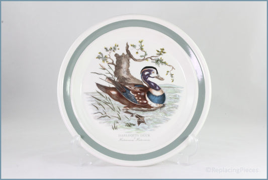 Portmeirion - Birds Of Britain - Dinner Plate (Harlequin Duck)