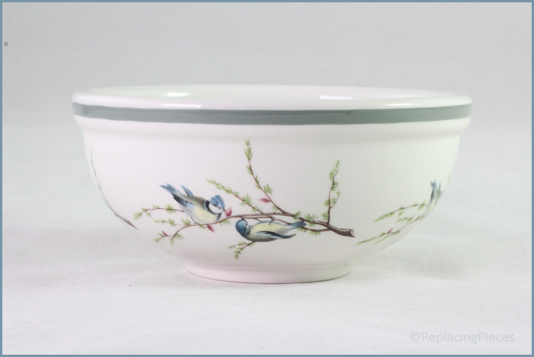 Portmeirion - Birds Of Britain - 5" Fruit Saucer (Nightingale)