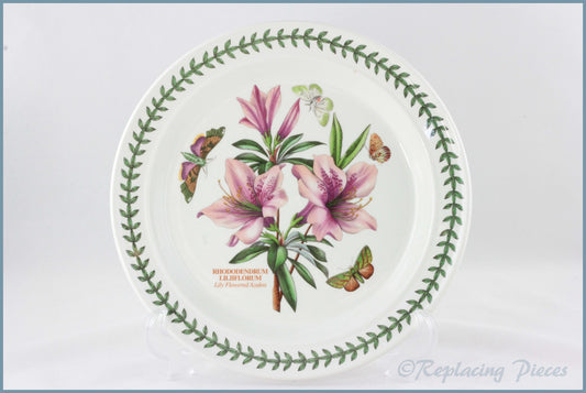 Portmeirion - Botanic Garden - Dinner Plate (Rhododendron Liliiflorum)