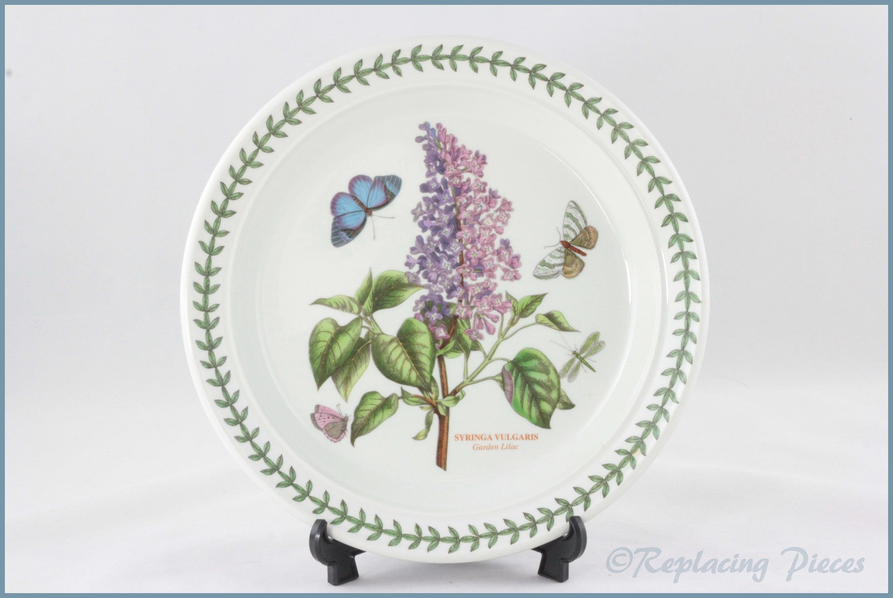 Portmeirion - Botanic Garden - 8 1/2"Salad Plate (Syringa Vularis)