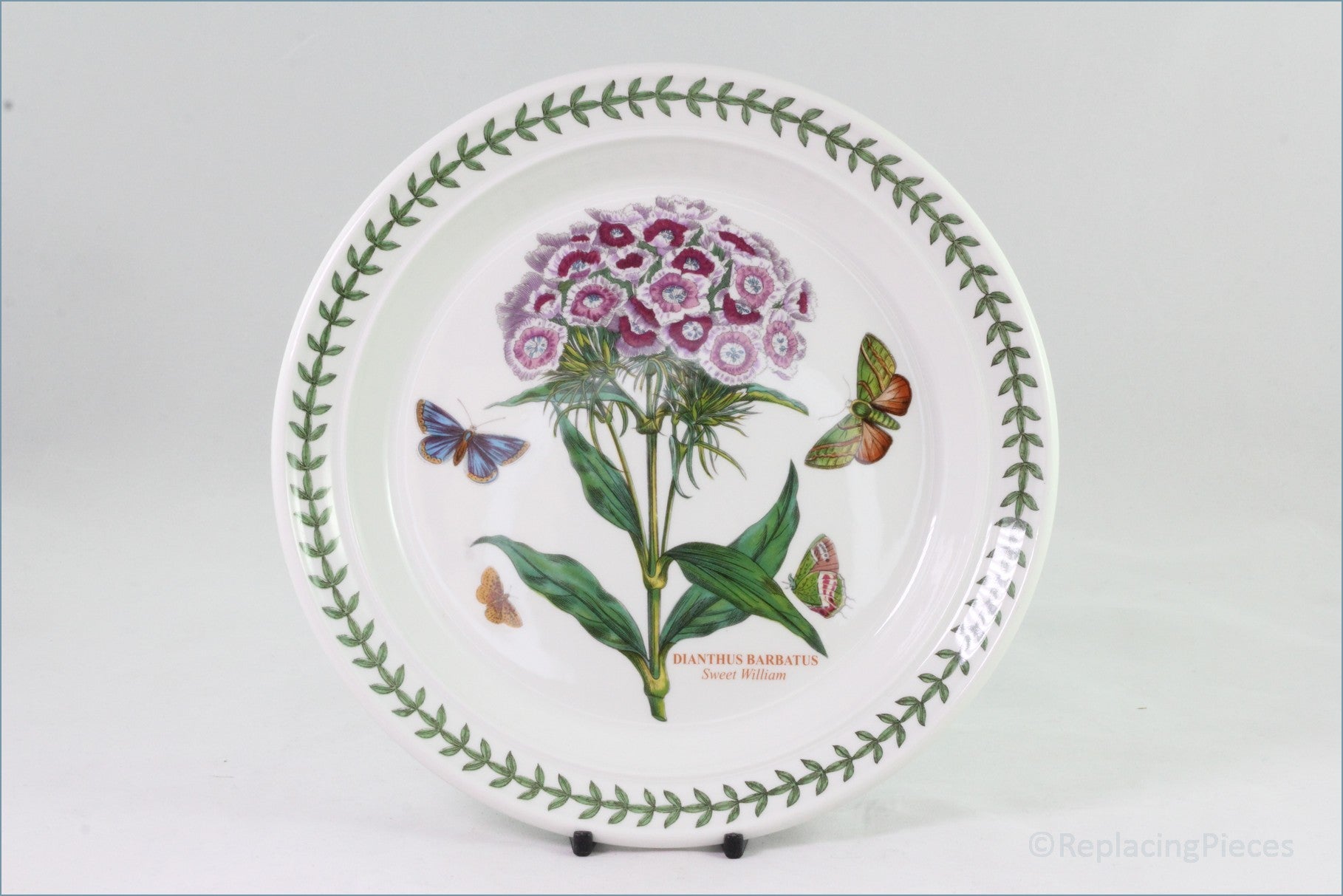 Portmeirion - Botanic Garden - 8 1/2" Salad Plate (Dianthus Barbatus)