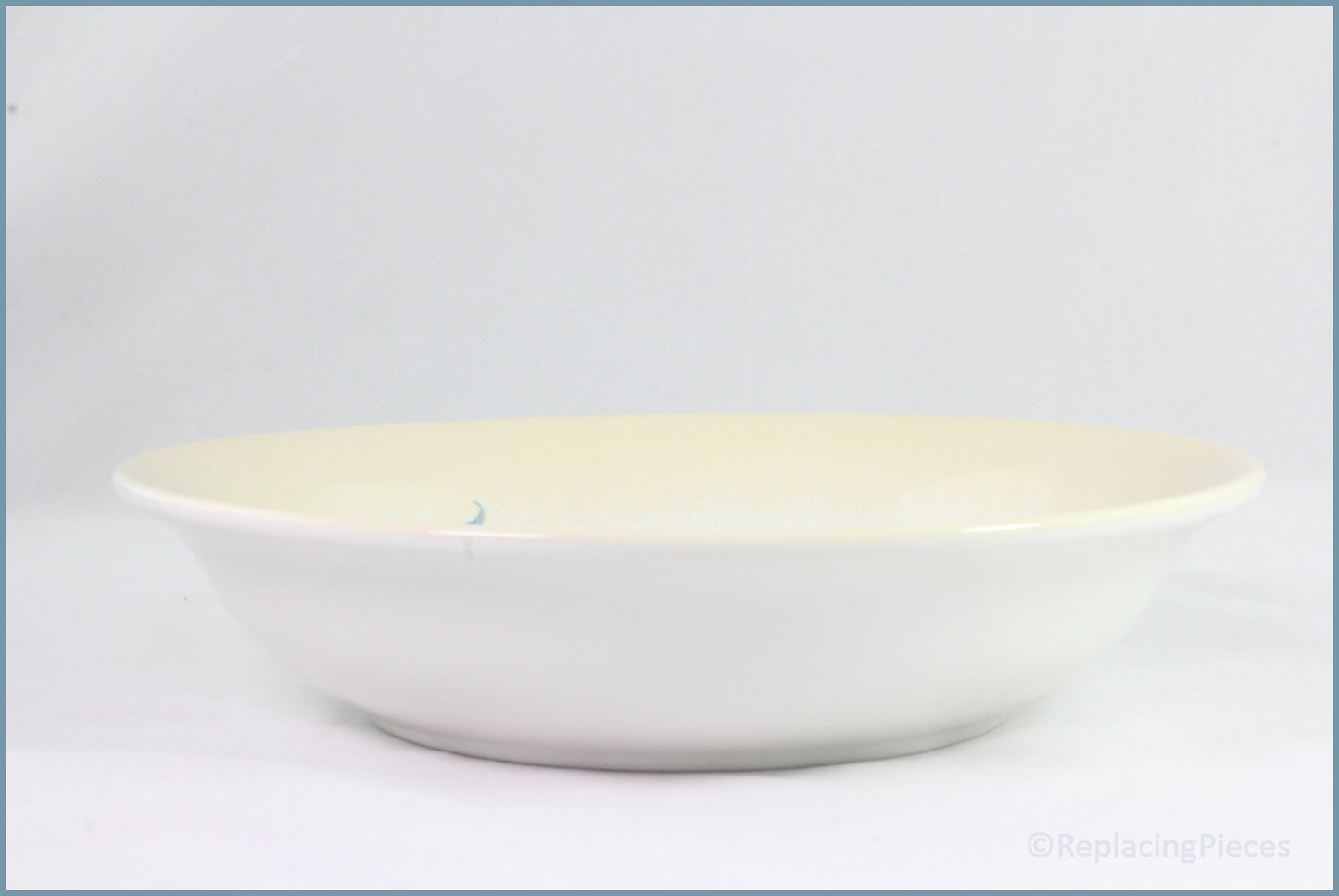 Portmeirion - Seasons Collection (Leaves) - Large 10 5/8" Pasta Bowl