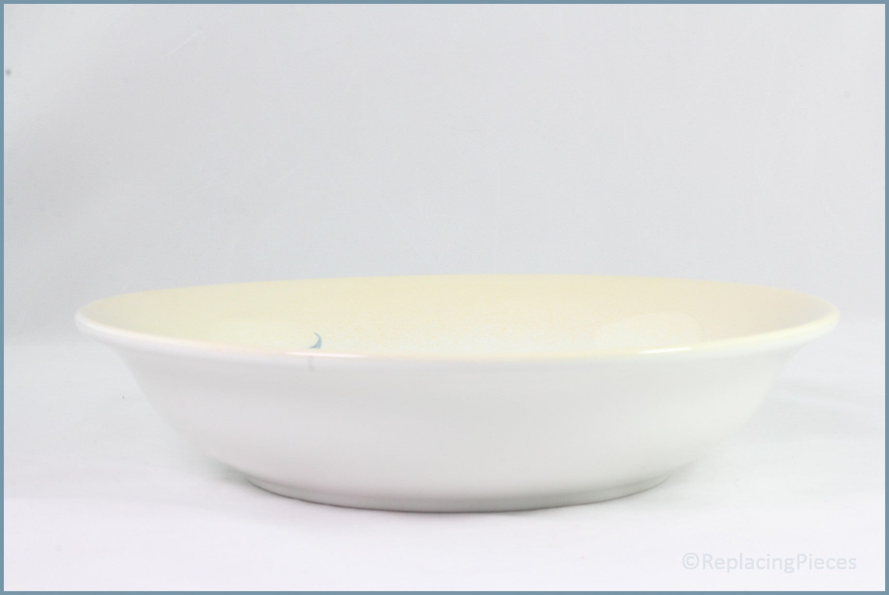 Portmeirion - Seasons Collection (Leaves) - Large 10 5/8" Pasta Bowl