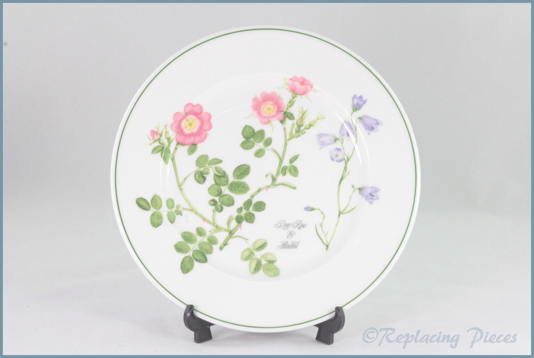 Portmeirion - Welsh Wild Flowers - 8 3/4" Salad Plate (Dog Rose & Harebell)