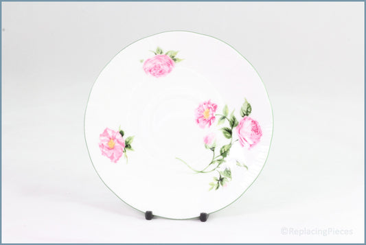 Rosina - Mottisfont Roses - Tea Saucer