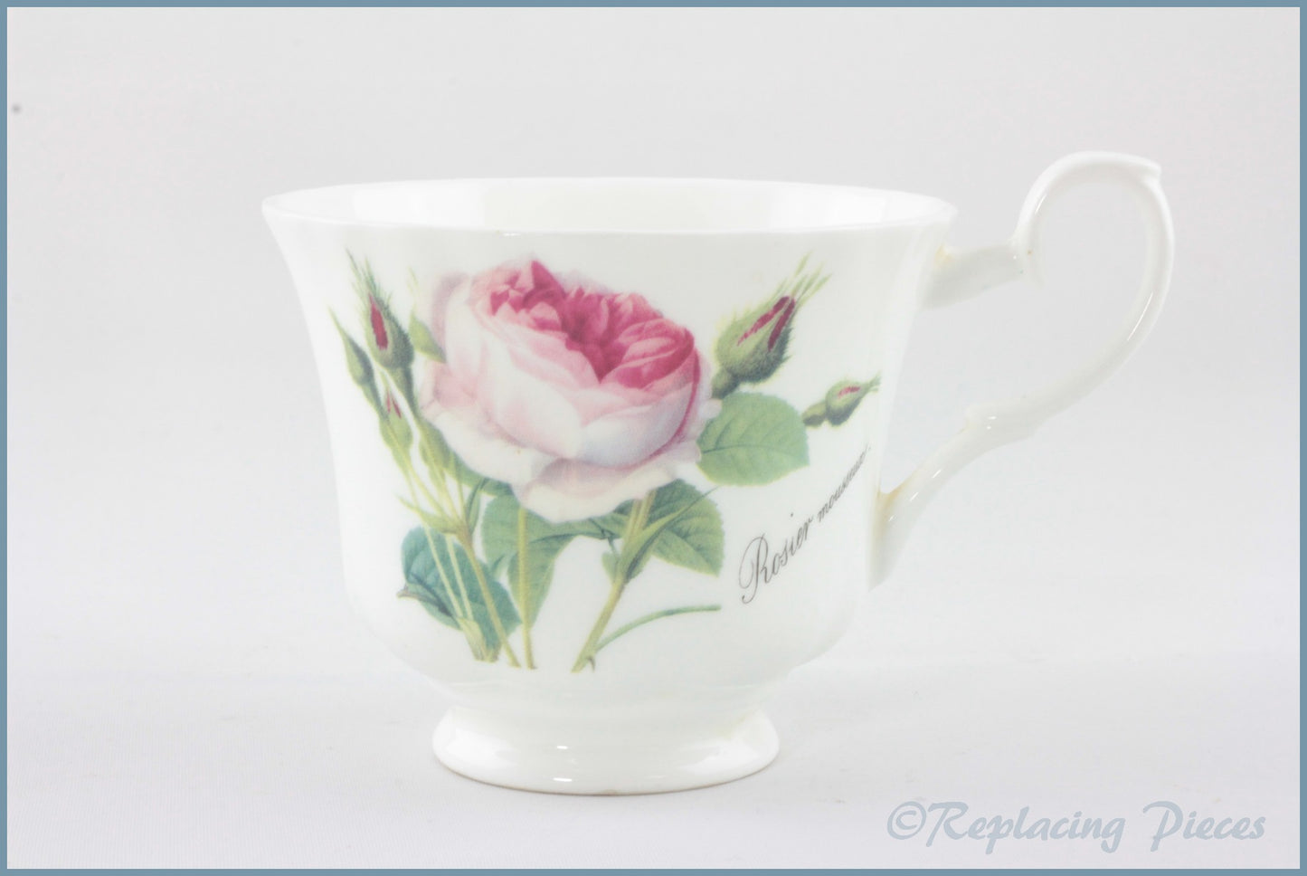 Roy Kirkham - Redoute Roses - Teacup