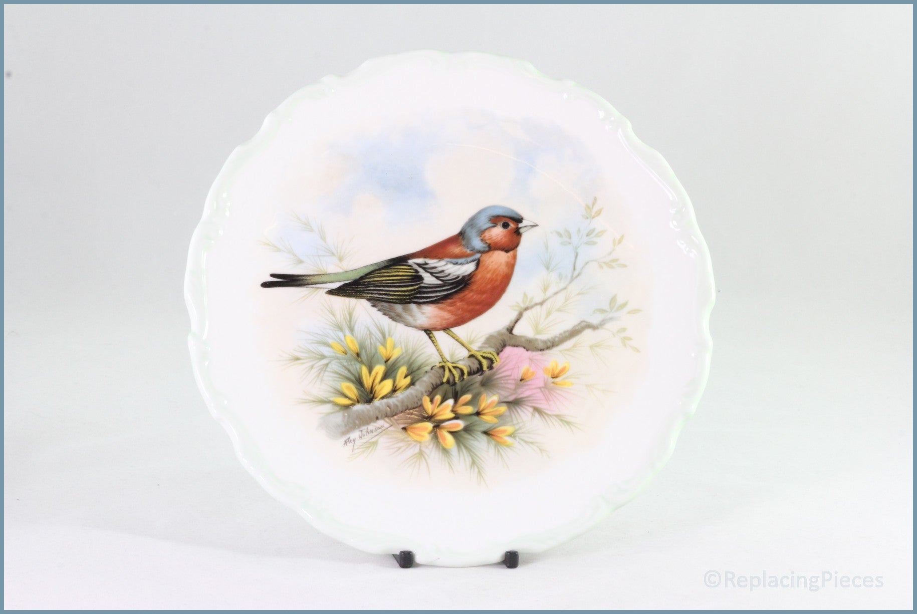 Royal Albert - The Woodland Birds Collection - Chaffinch - Fringilla coelebs