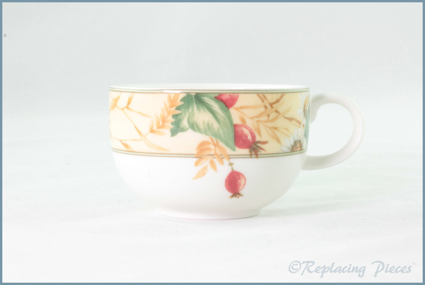 Royal Doulton - Edenfield (Expressions) - Teacup
