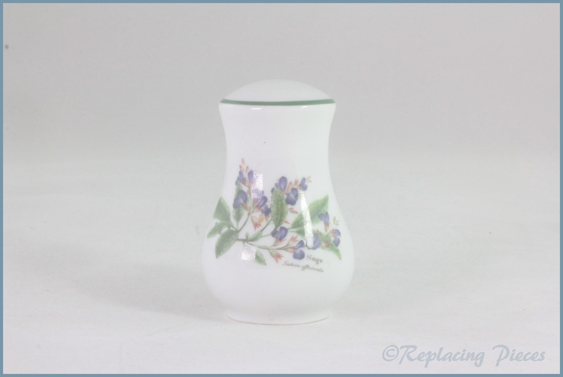 Royal Worcester - Worcester Herbs - Salt Pot