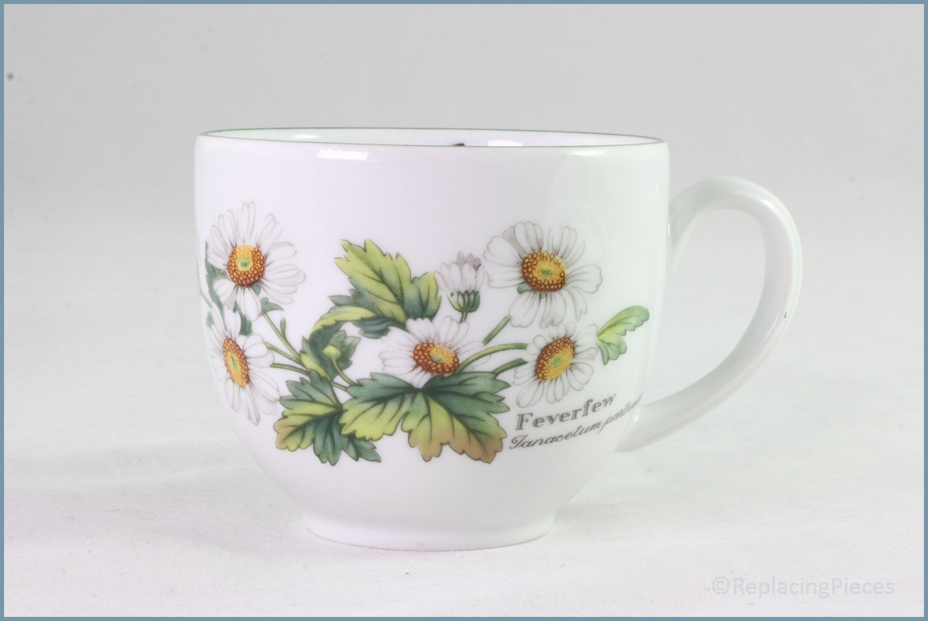 Royal Worcester - Worcester Herbs - Teacup