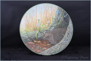 Royal Doulton - Rollinsons Portraits of Nature - The Wary Hedgehog