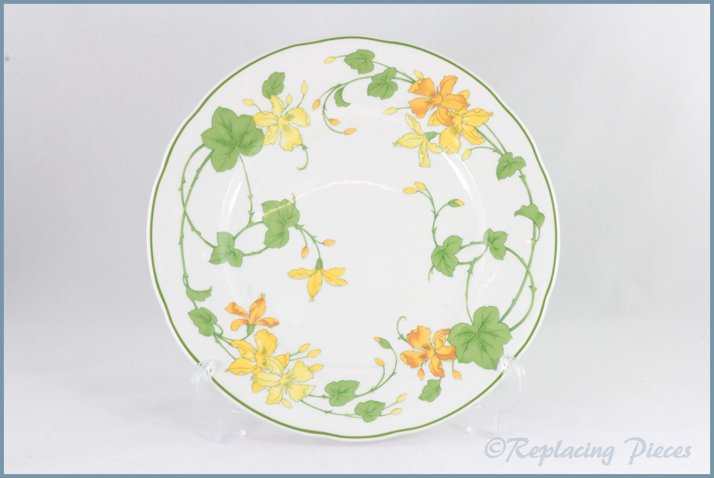 Villeroy & Boch - Geranium (Old Style) - Dinner Plate