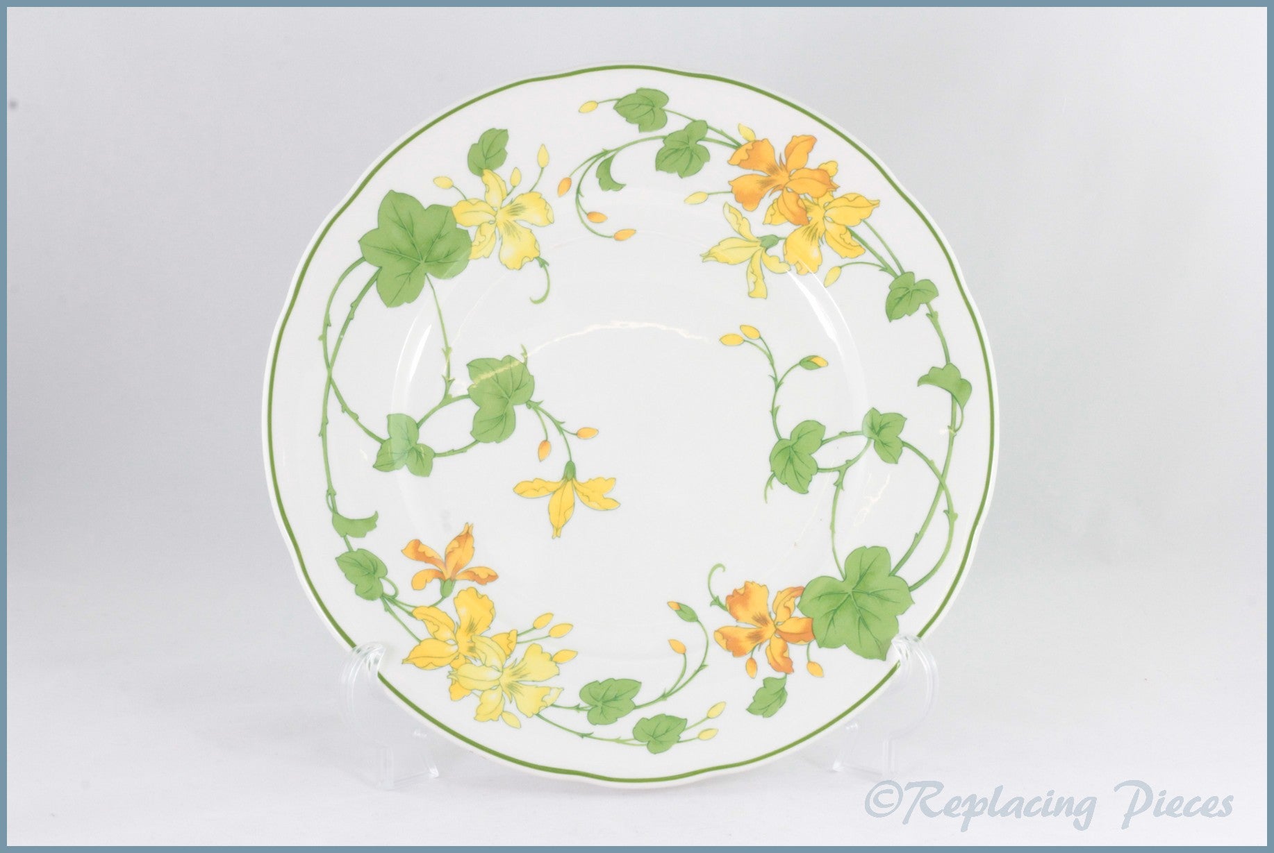 Villeroy & Boch - Geranium (Old Style) - Dinner Plate