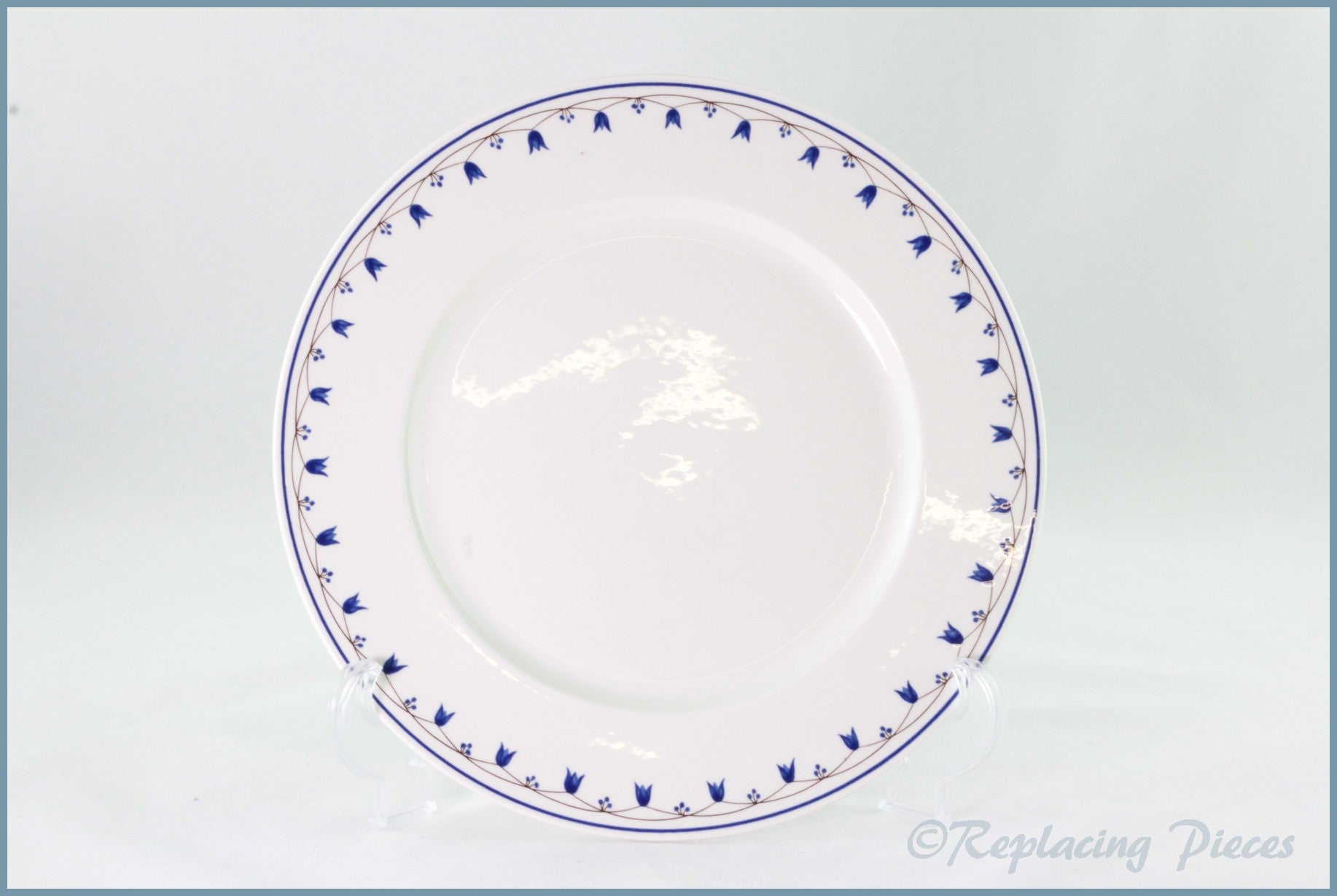 Villeroy & Boch - Salzburg - 9 3/4" Luncheon Plate