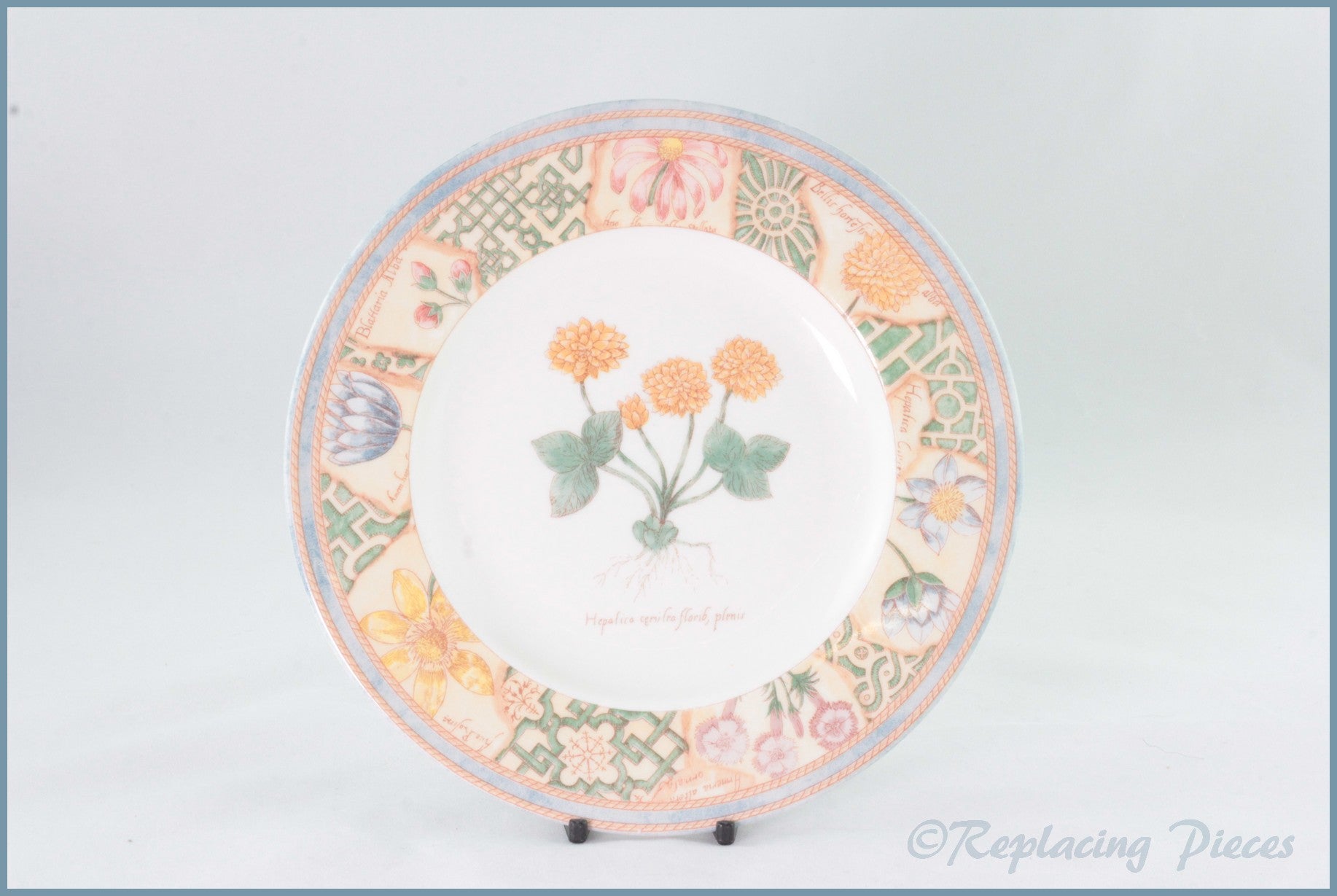 Wedgwood - Garden Maze - 8 1/4" Salad Plate (Yellow Flower)