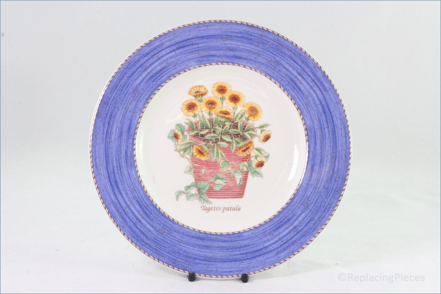 Wedgwood - Sarah's Garden (Blue) - 8 1/4" Salad Plate