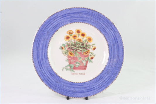 Wedgwood - Sarah's Garden (Blue) - 8 1/4" Salad Plate