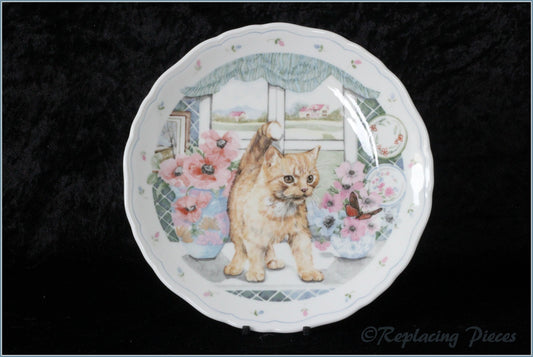 Royal Albert - The Country Kitten Collection - Fascination