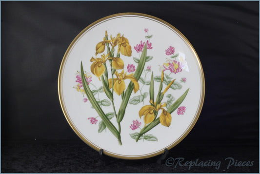 Spode - Garden Flowers - Iris & Honeysuckle