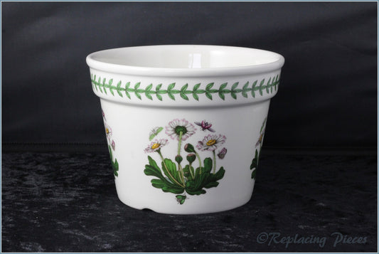 Portmeirion - Botanic Garden - Plant Pot (Medium)