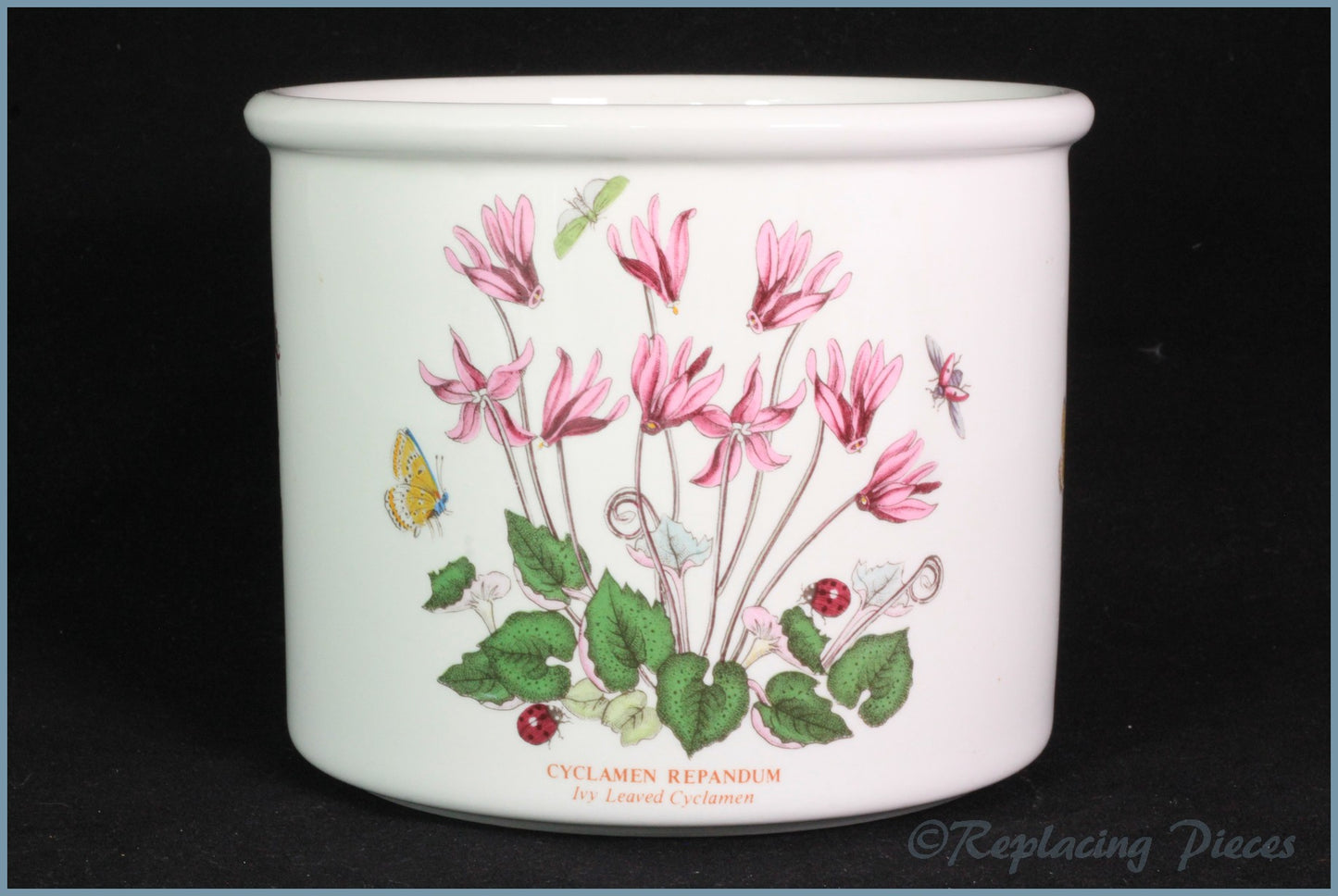 Portmeirion - Botanic Garden - Plant Pot (Medium)