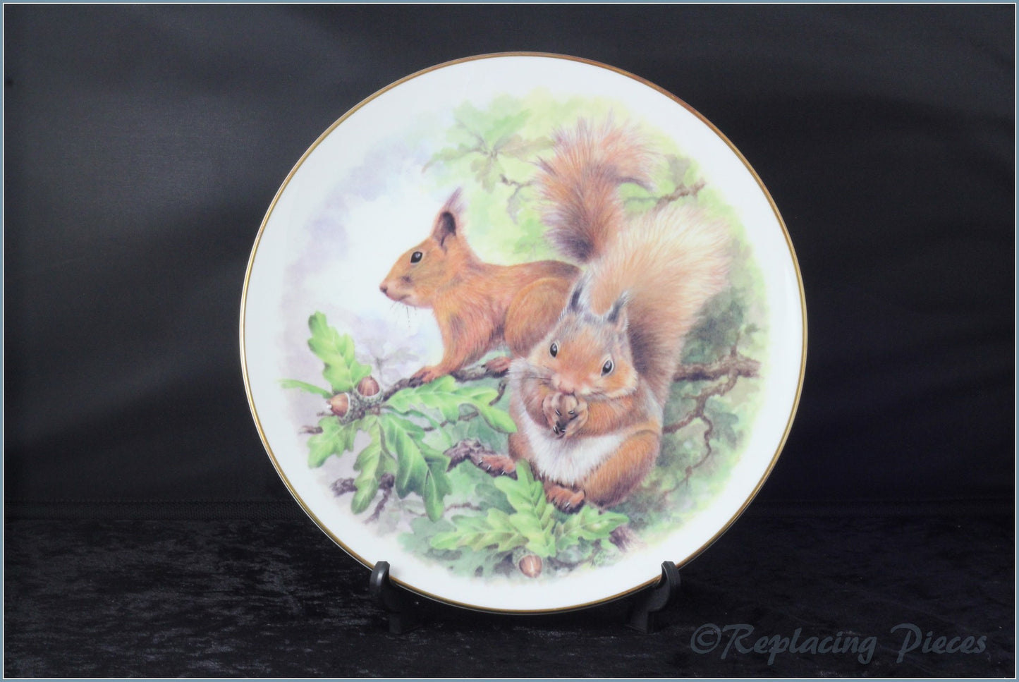 Nicholas John - Wildlife Plates - Red Squirrels