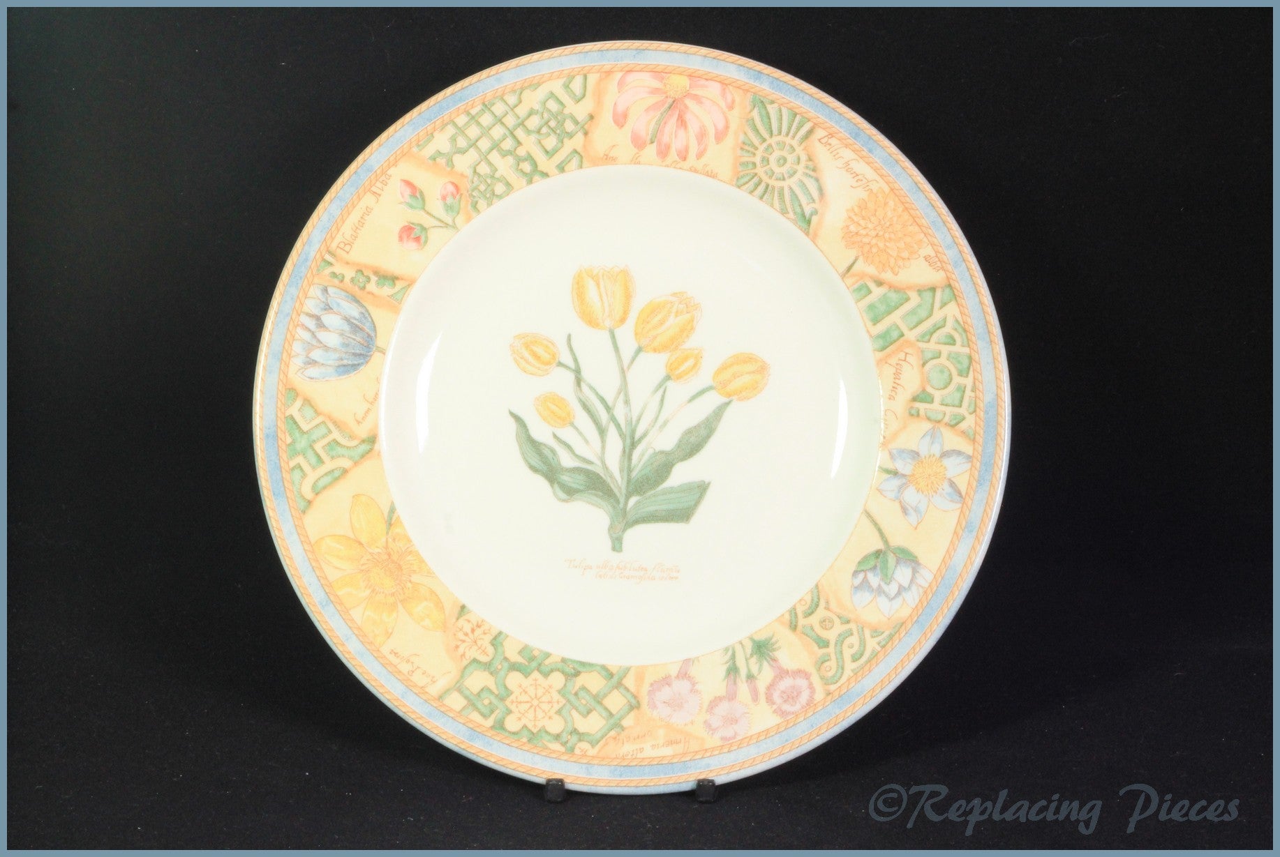 Wedgwood - Garden Maze - 8 1/4" Salad Plate (Tulip)