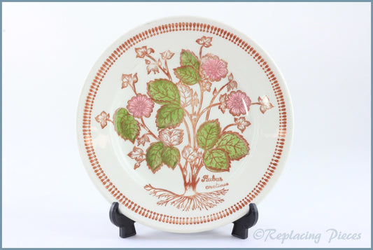 Broadhurst - Wild Flowers - 6 3/4" Side Plate