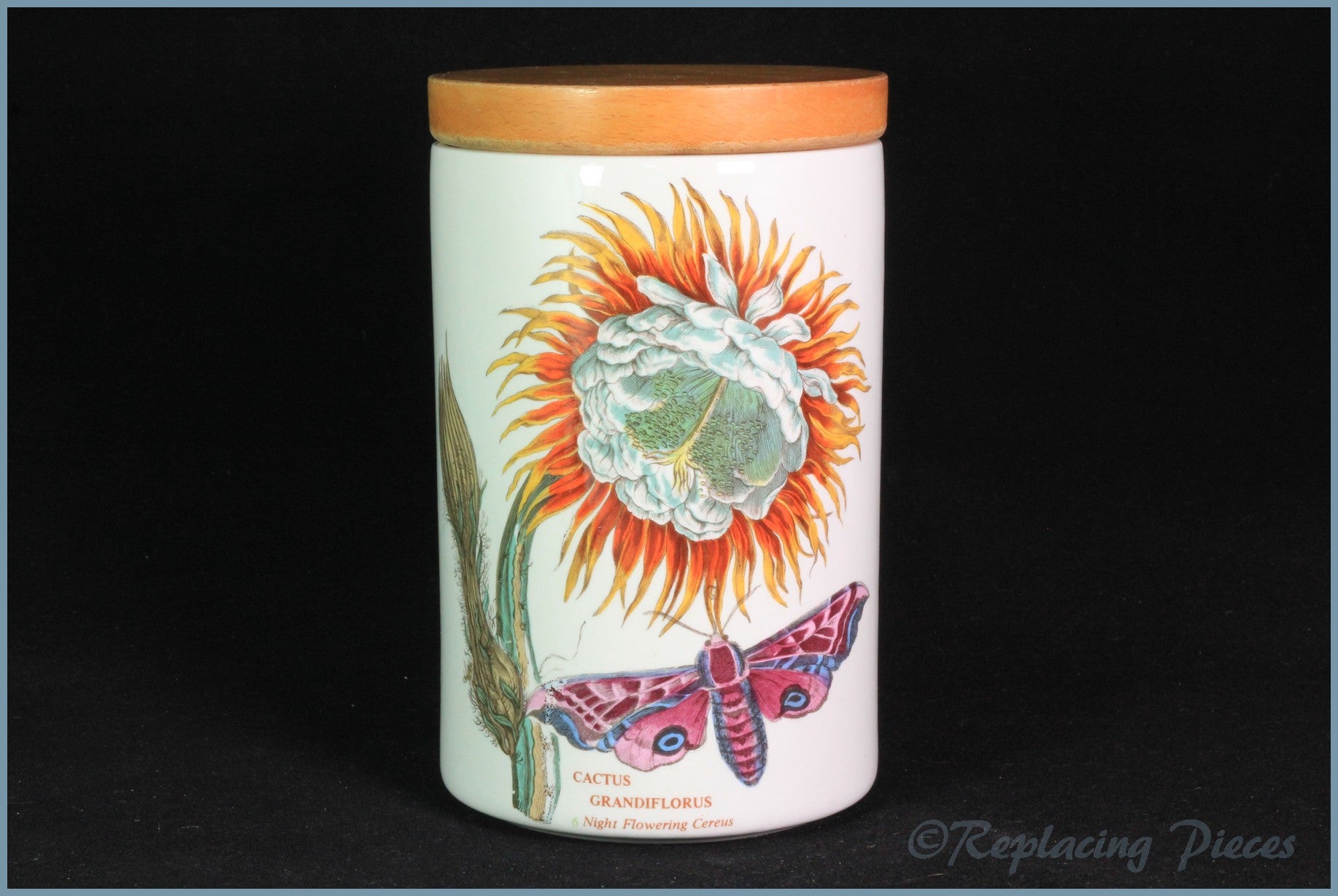 Portmeirion - Botanic Garden - 7" Storage Jar (Cactus Grandiflorus)