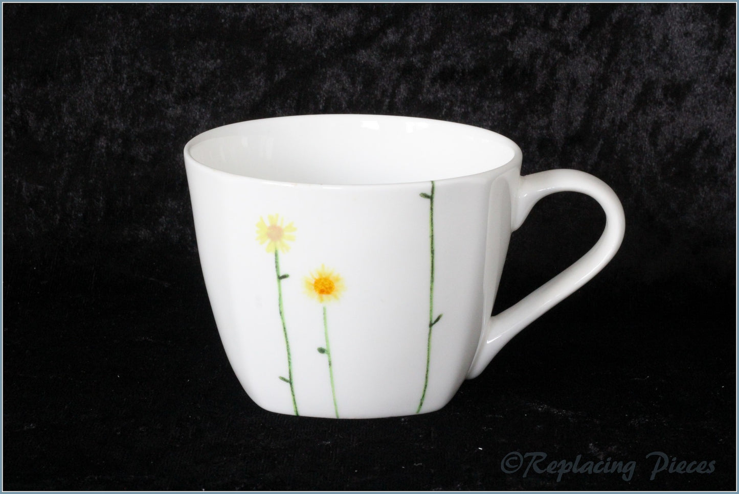 Aynsley - Daisy Chain - Teacup