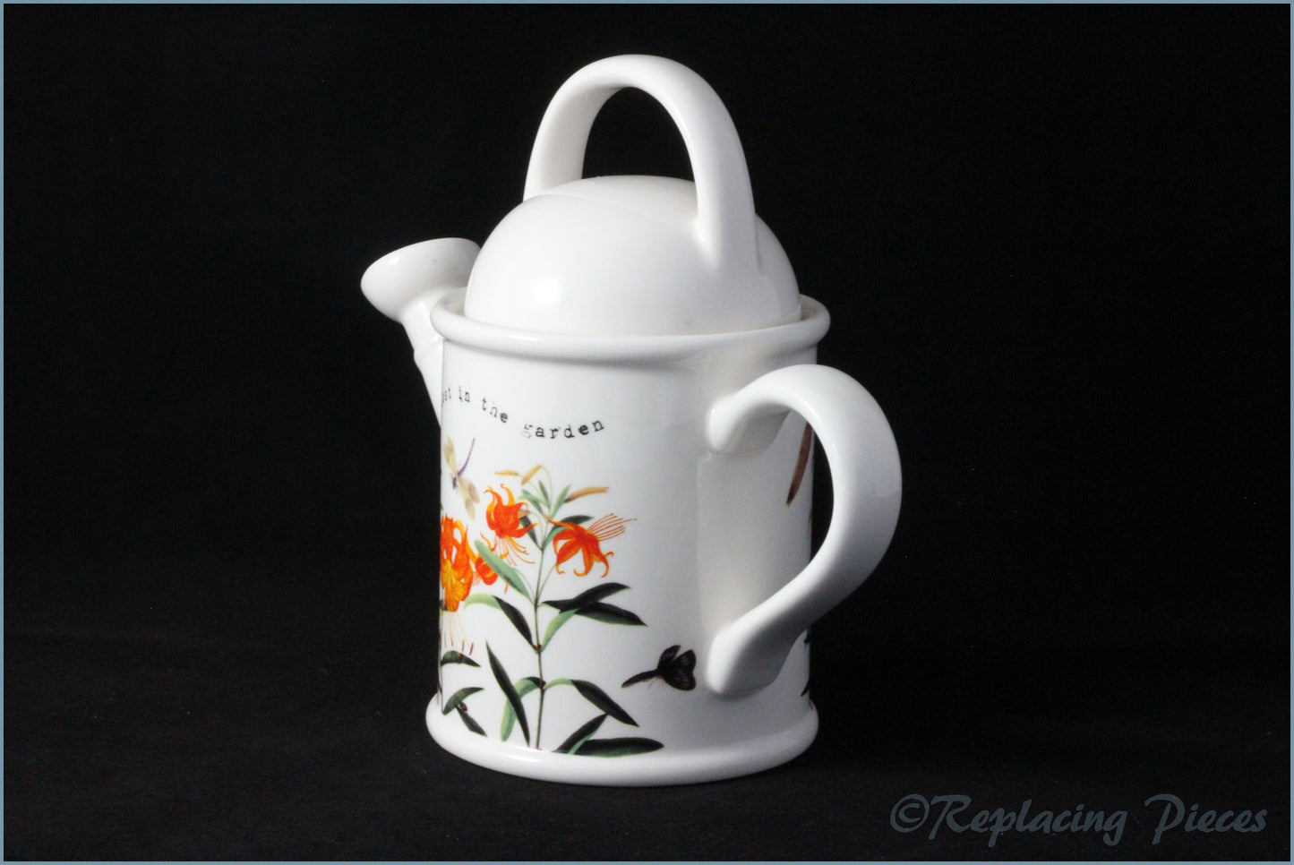 RHS - Sharing The Best In Gardening - Watering Can Teapot (Orange Flower)